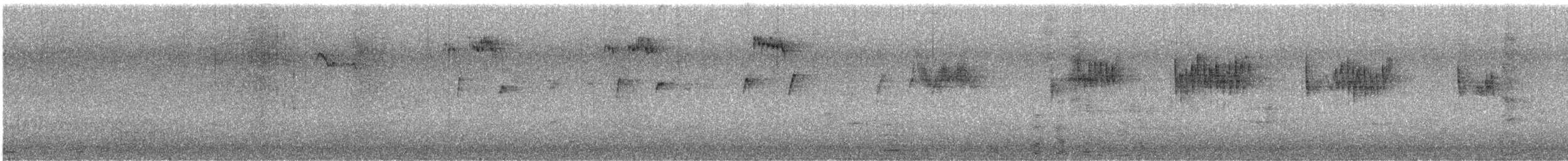 European Starling - ML646577840