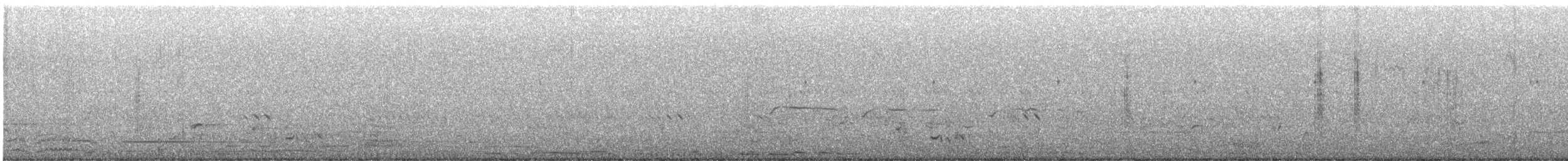 Tarabilla Africana (grupo torquatus) - ML646577958