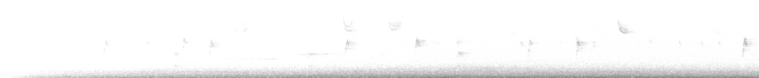 Autillo Yanqui - ML646578357