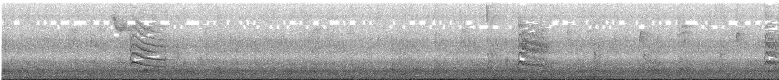 Chupasavia Norteño - ML646579092