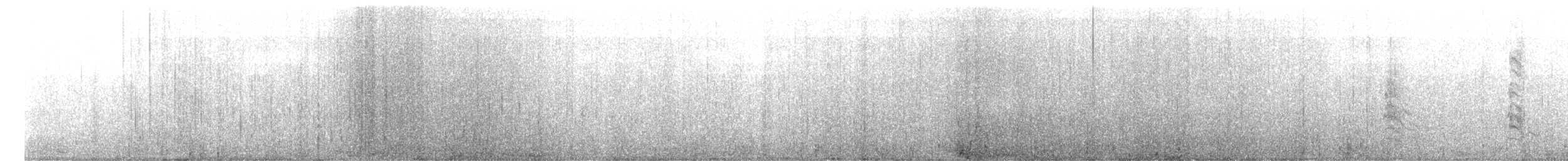 Pardela Gorjiblanca - ML646579110