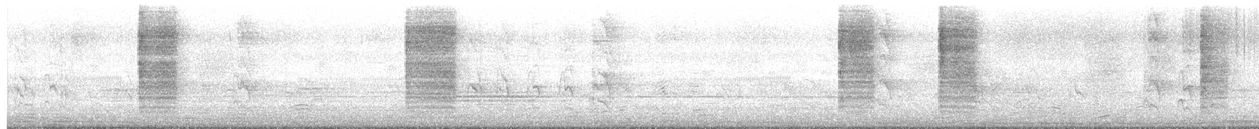 Oriental Magpie-Robin - ML646579280