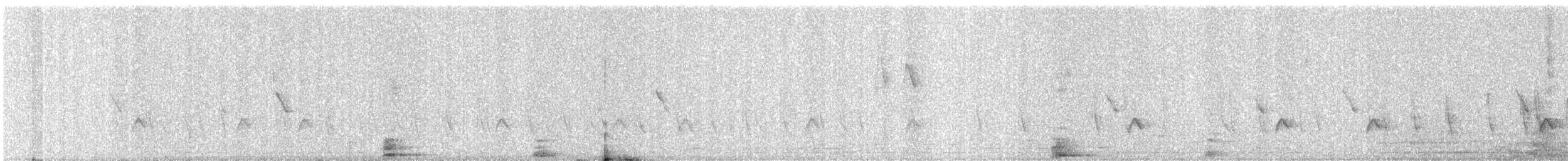 Common Tailorbird - ML646579422