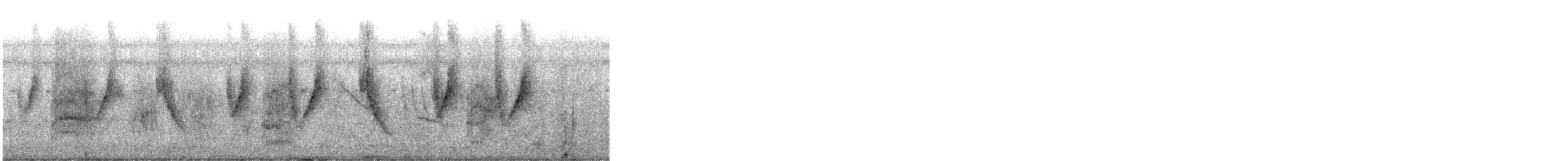 Black-and-rufous Warbling Finch - ML646579458