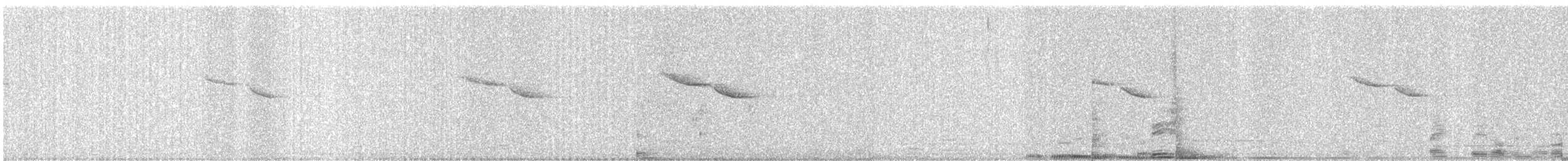 Oriental Magpie-Robin - ML646579893