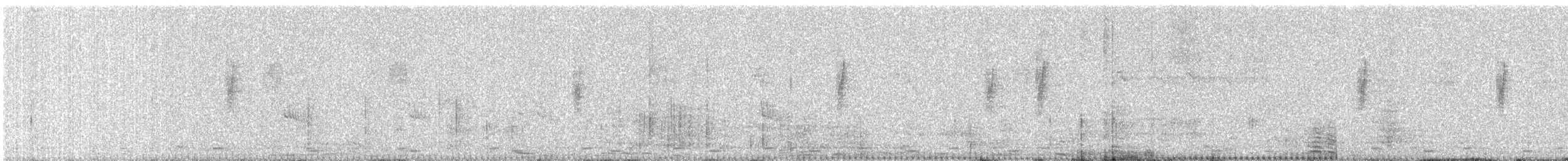 Coppersmith Barbet - ML646579964