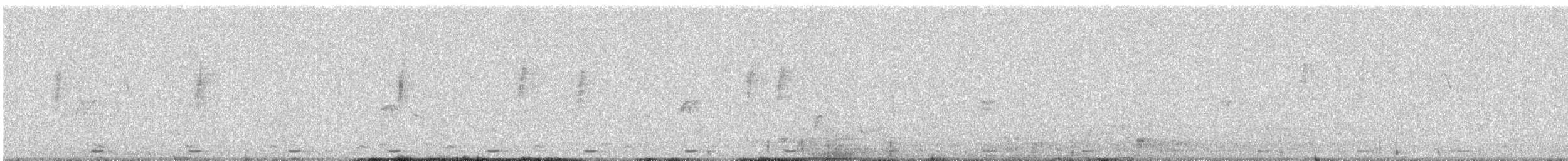 Coppersmith Barbet - ML646579973