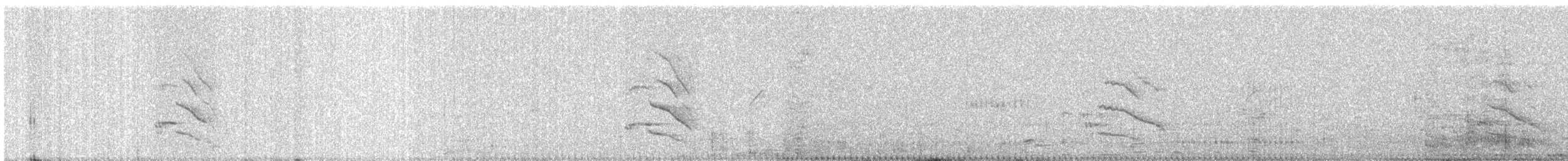 Alexandrine Parakeet - ML646580012