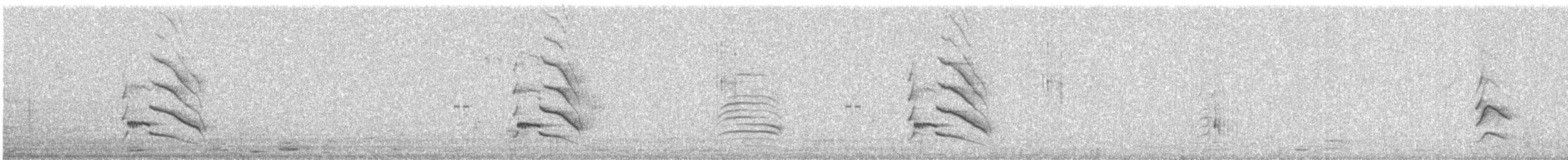 Alexandrine Parakeet - ML646580032