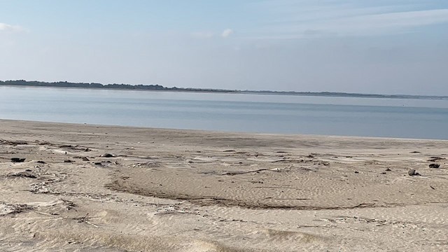 Elur-berdantza - ML646580038