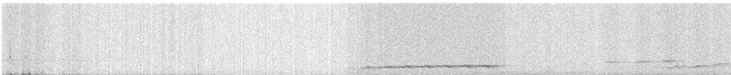 Asian Koel - ML646580149