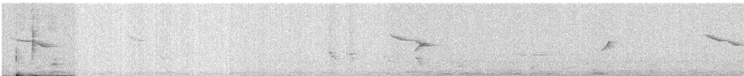 Oriental Magpie-Robin - ML646580163