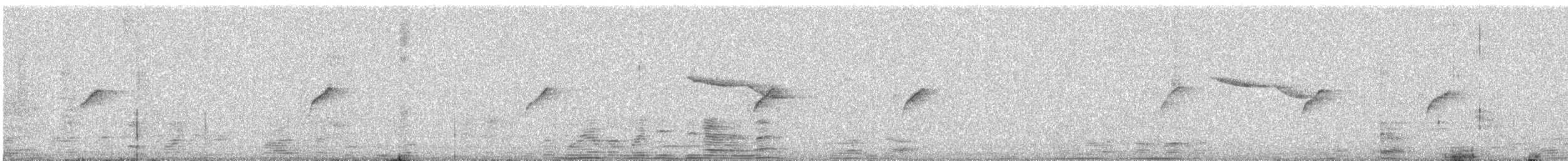 Oriental Magpie-Robin - ML646580164