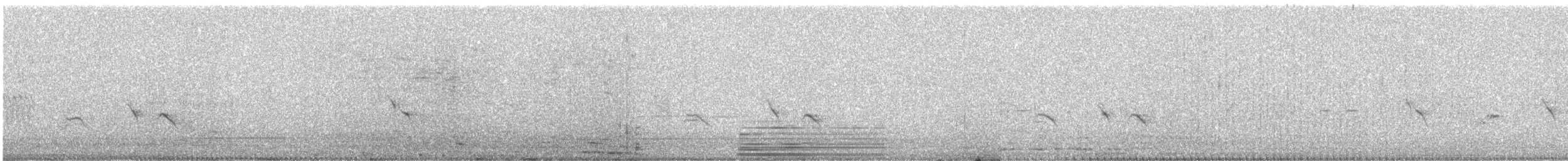 Black Drongo - ML646580527