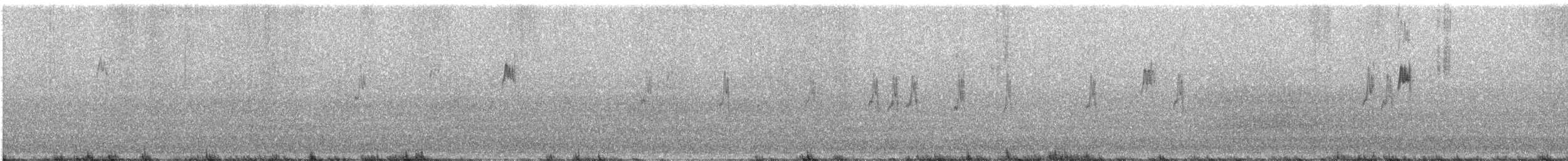 Bisbita Pratense - ML646580547