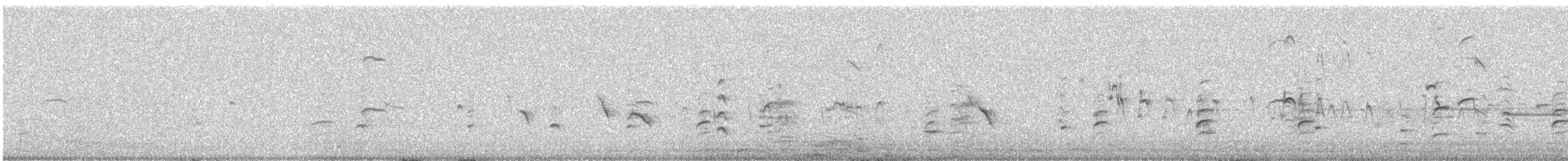 Stelzenläufer - ML646580568