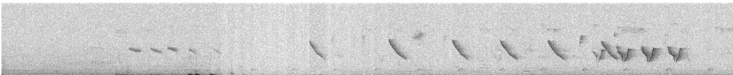 Common Tailorbird - ML646580685