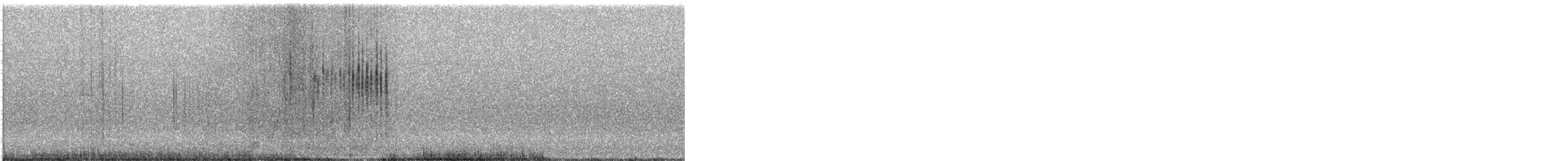 Grive draine - ML646580835