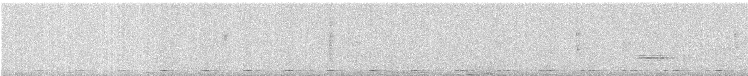 Coppersmith Barbet - ML646580957