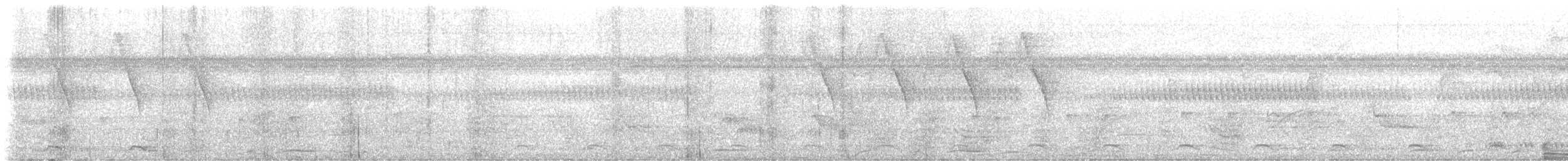 Black-tailed Trogon - ML646581015