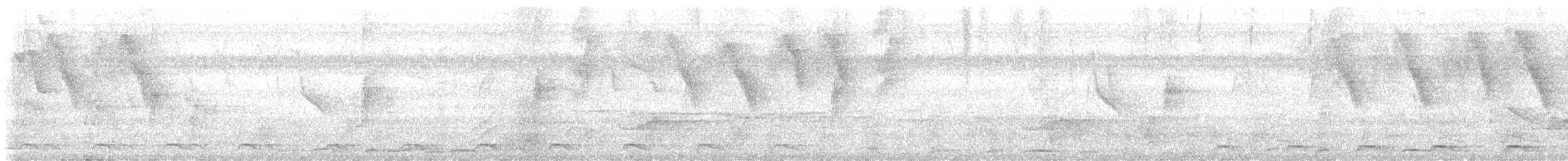 Black-tailed Trogon - ML646581016