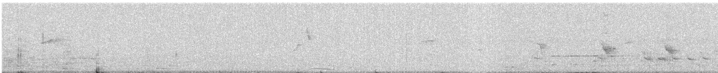 Rose-ringed Parakeet - ML646581072