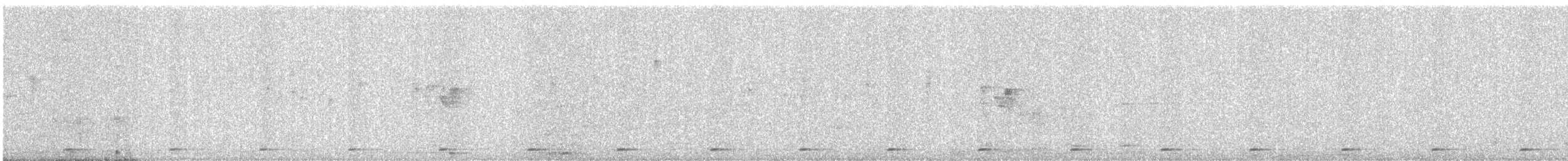 Coppersmith Barbet - ML646581125