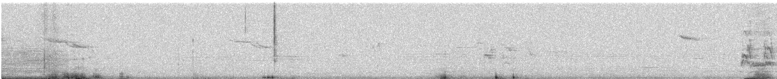 Oriental Magpie-Robin - ML646581270