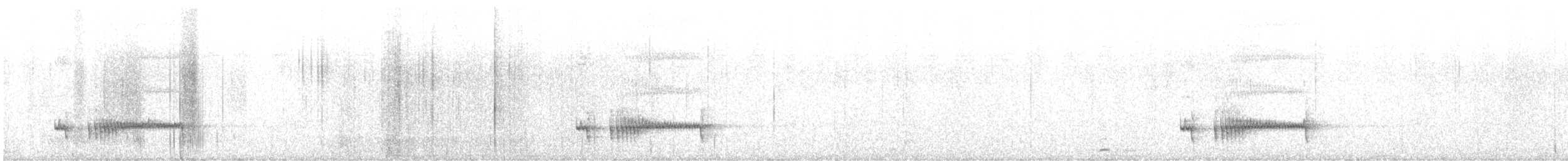 Chachapoyas Antpitta - ML646583395