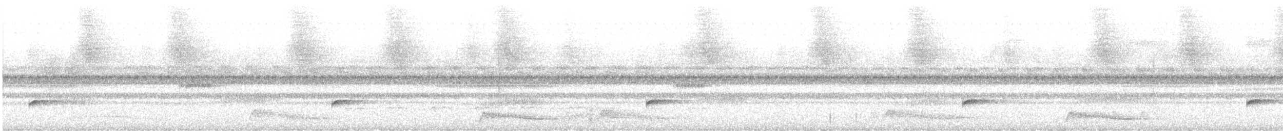 Ocellated Poorwill - ML646583430