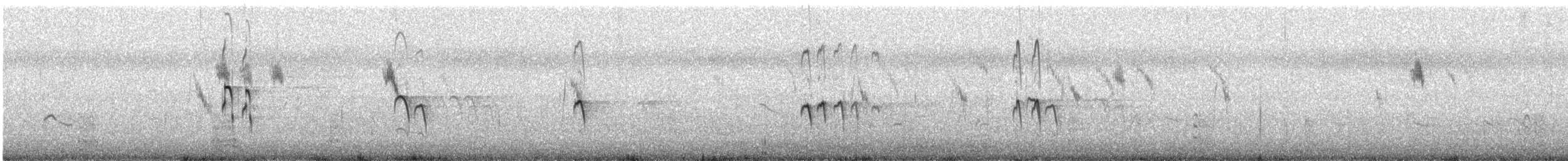 Piro piro boschereccio - ML646584310