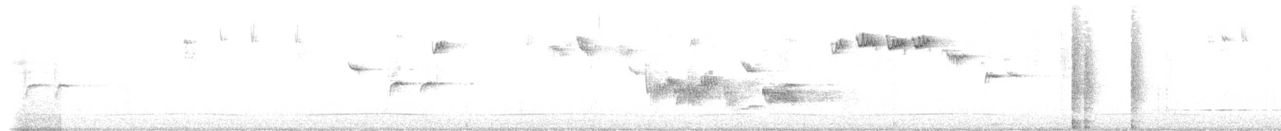 Pettirosso - ML646584614