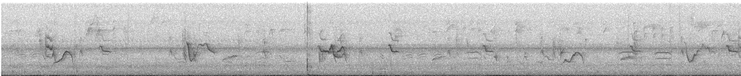 フタスジモズモドキ - ML646585303