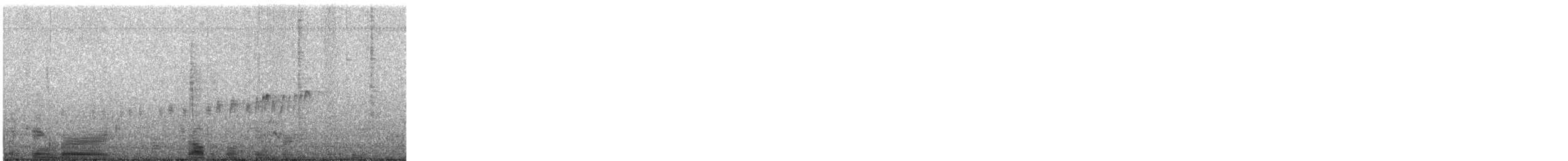 Tropical Kingbird - ML646585369