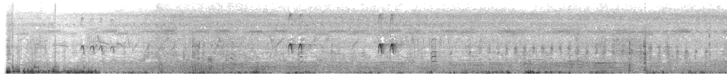 vodouš bahenní - ML646585742