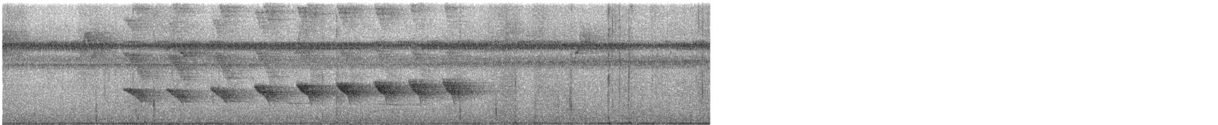 Bare-crowned Antbird - ML646586004