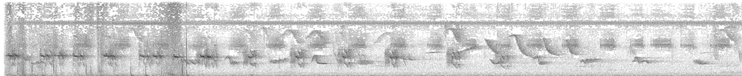 Дрізд кремововолий - ML646586031