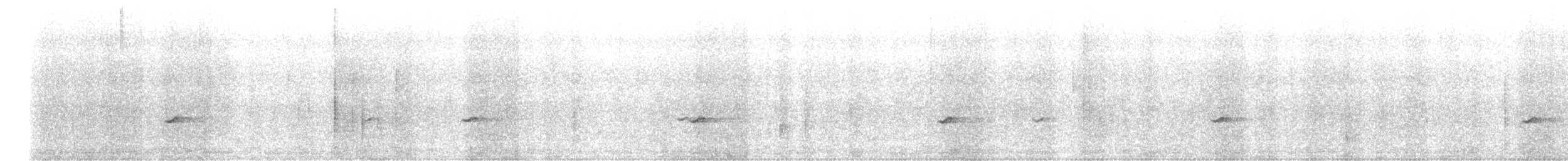 White-browed Shrike-Babbler - ML646586179