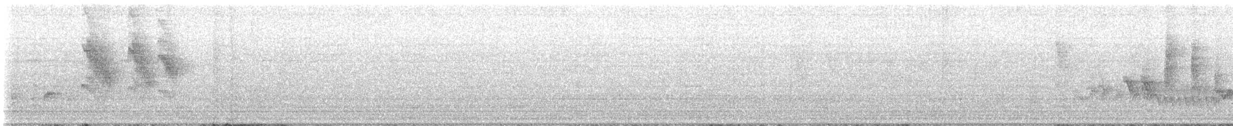 Troglodyte austral - ML646587218