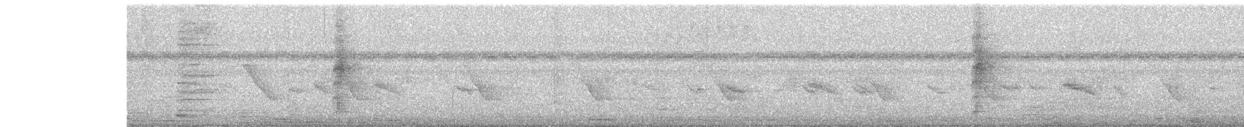 Shama indien - ML646587276