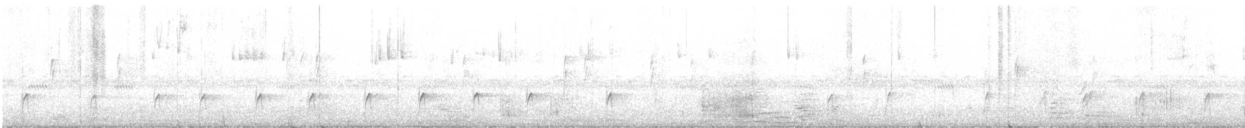 Greater Pewee - ML646587313