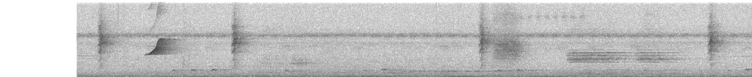 Shama indien - ML646587346