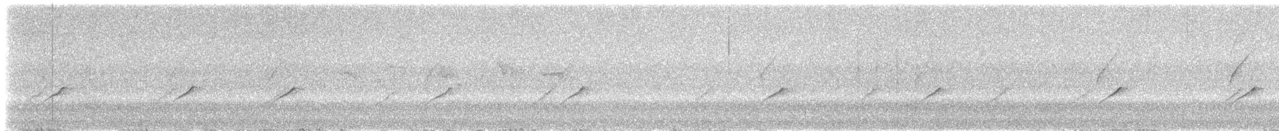 Pouillot véloce (groupe collybita) - ML646587413