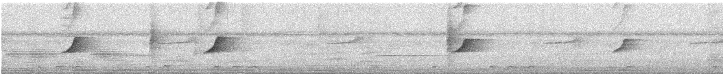 Shama indien - ML646587431