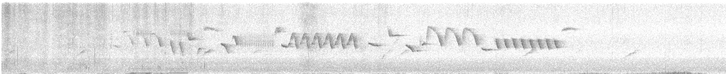 Troglodyte mignon (indigenus) - ML646587443