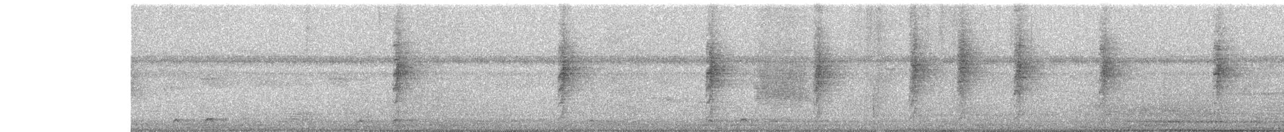 Rhipidure à poitrine tachetée - ML646587627