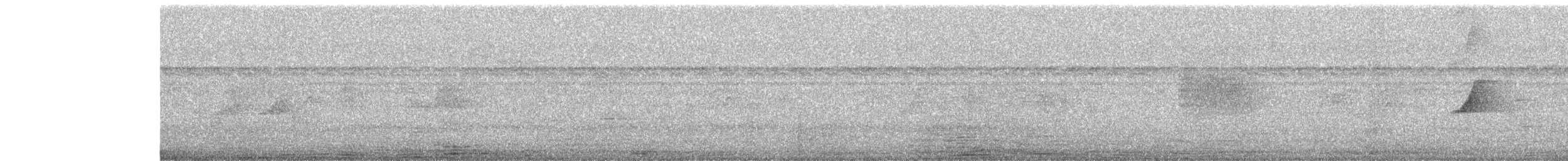 Rhipidure à poitrine tachetée - ML646587656