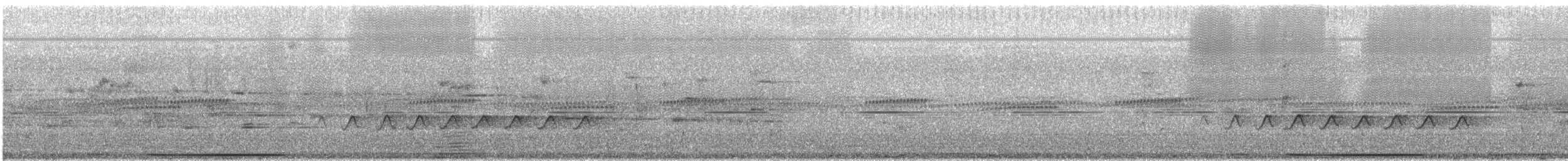 Mavi Halkalı Kumru - ML646587674