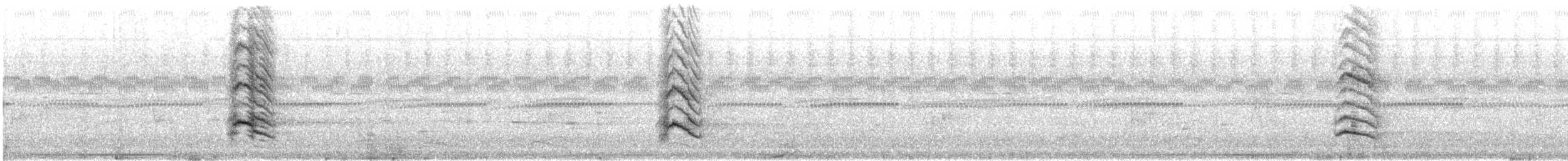 Geai à face blanche - ML646587767