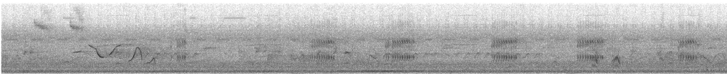 Troglodyte joyeux - ML646587782